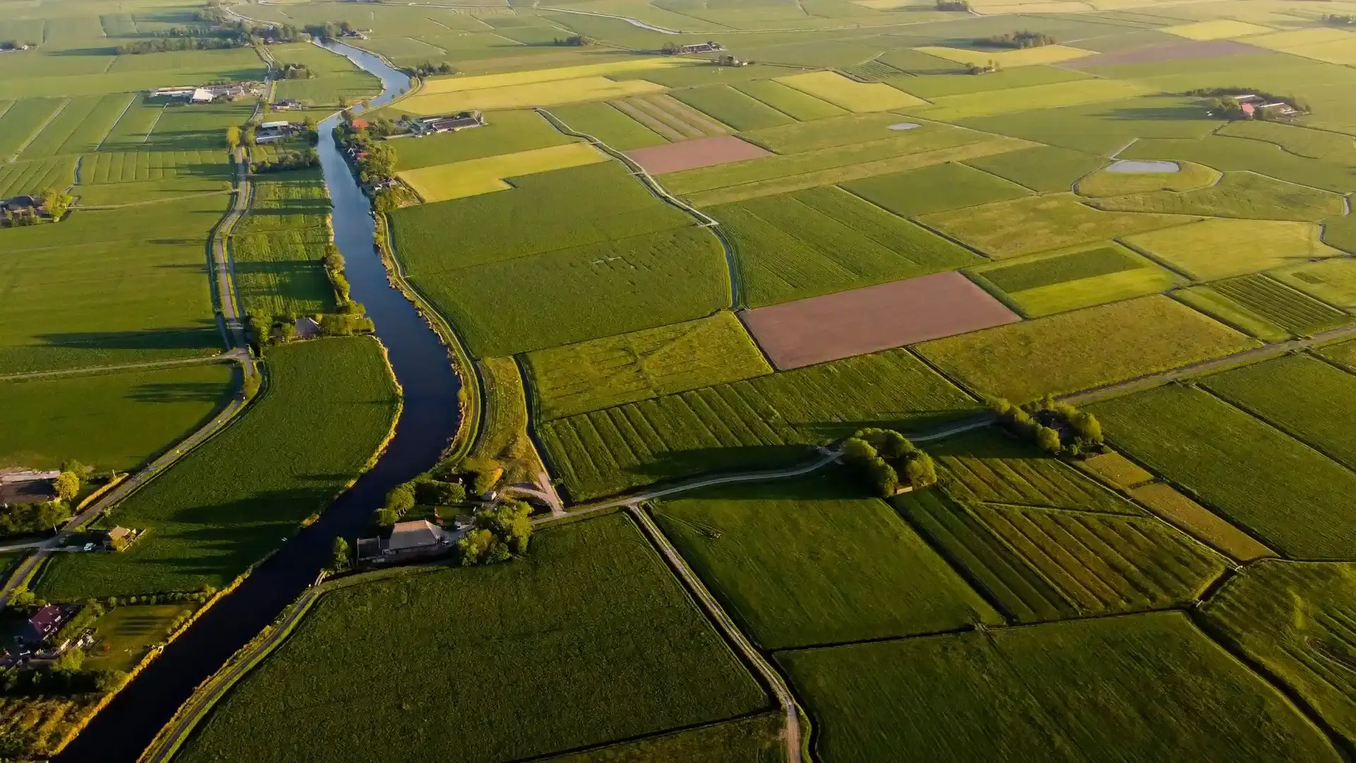 Abstrakte Feldtextur als Hintergrund