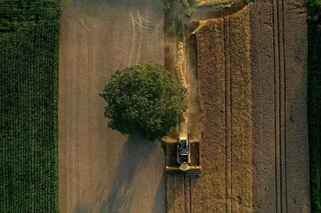 Moderner deutscher Betrieb mit regenerativen Praktiken