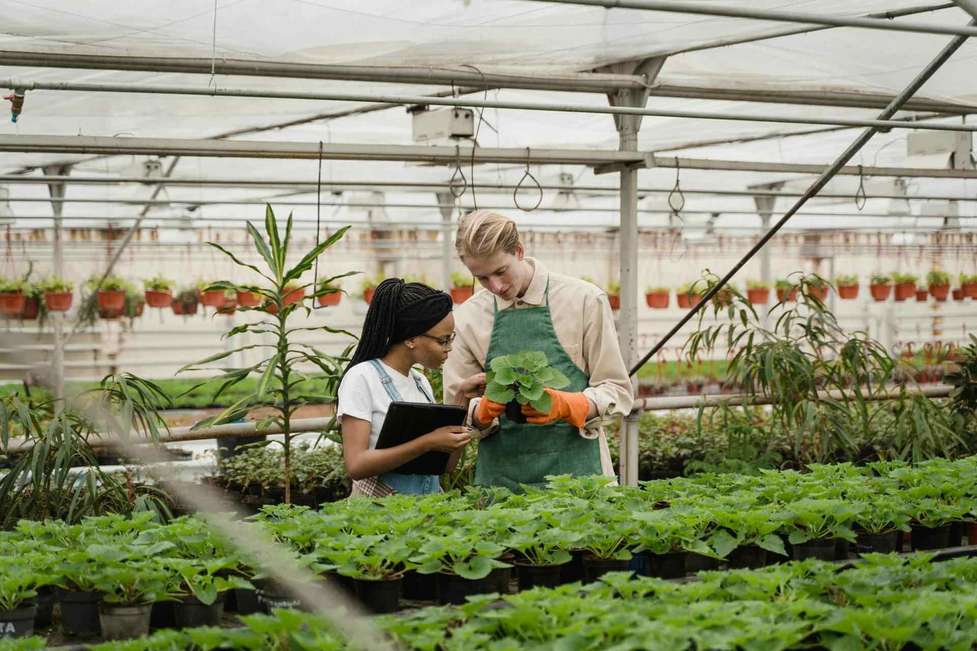 Deutsche Schweineproduktionsanlage